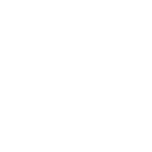 smile logo